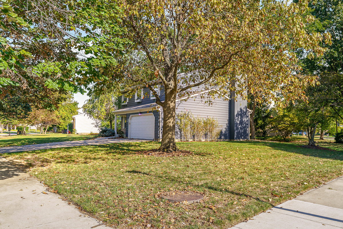106 Ormsbee Ave-3