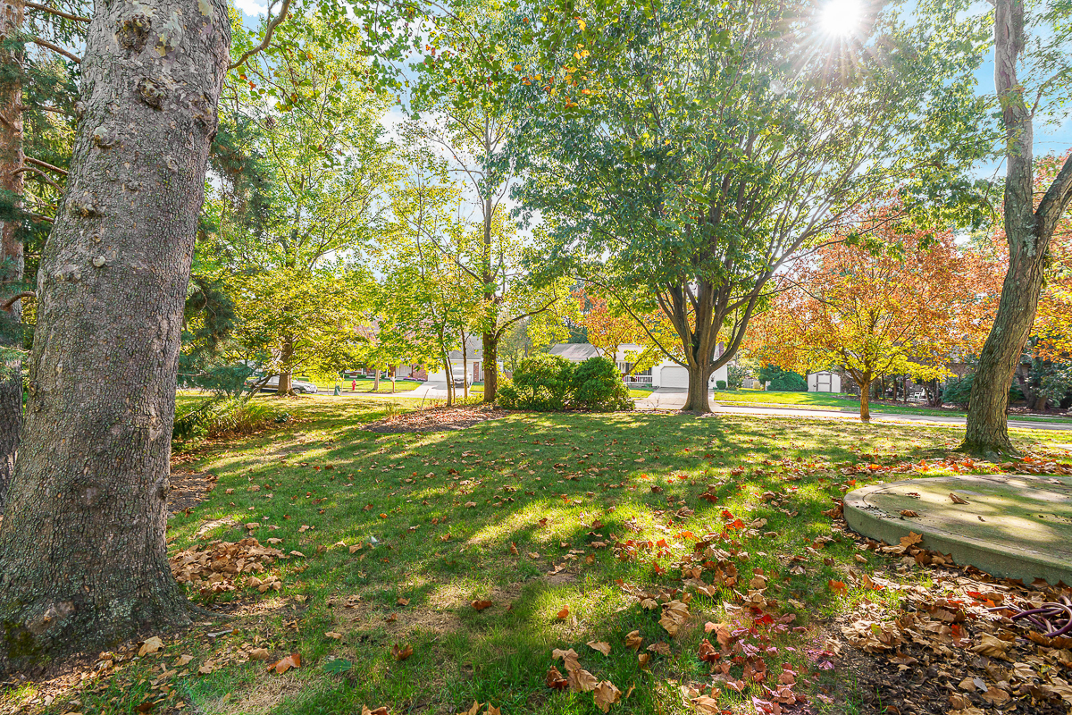 106 Ormsbee Ave-6