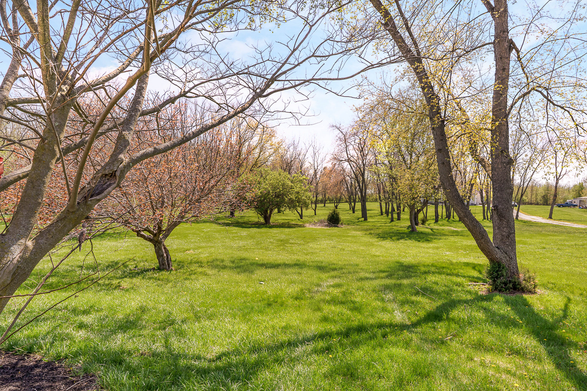 1203 Hiner Rd-15