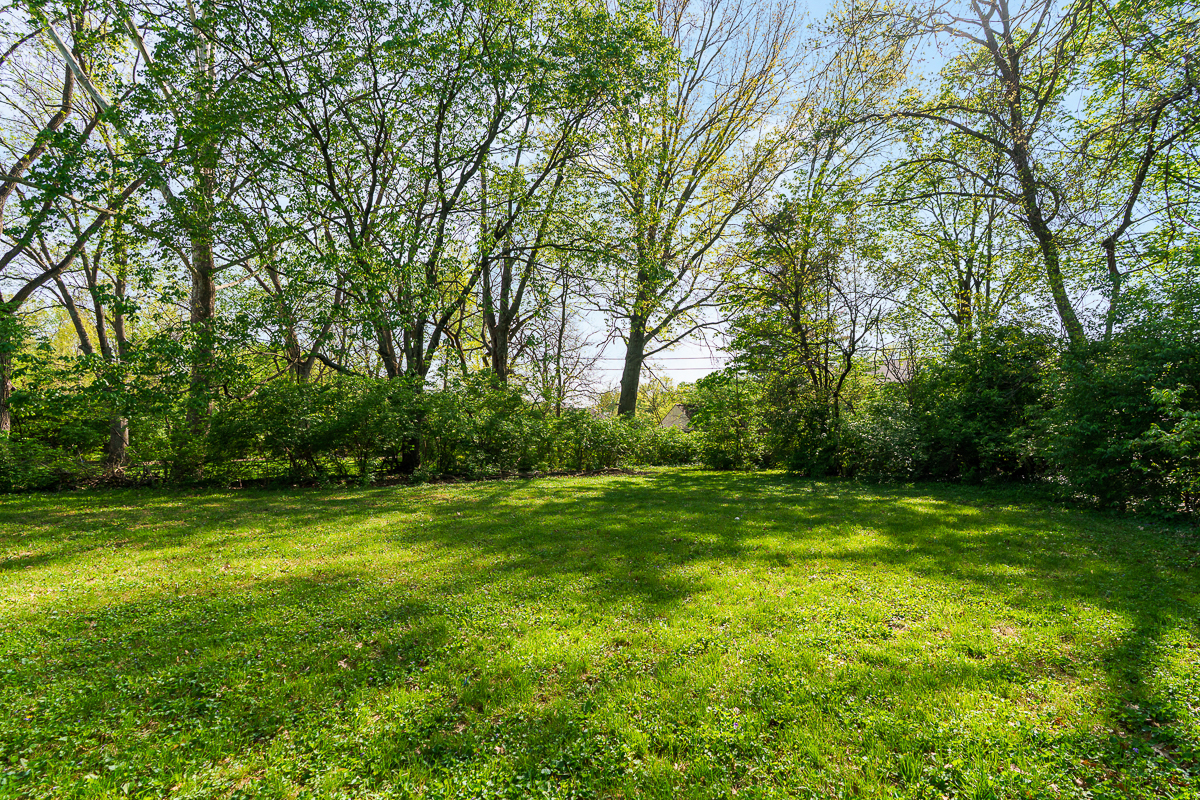 3041 Avalon Rd-5
