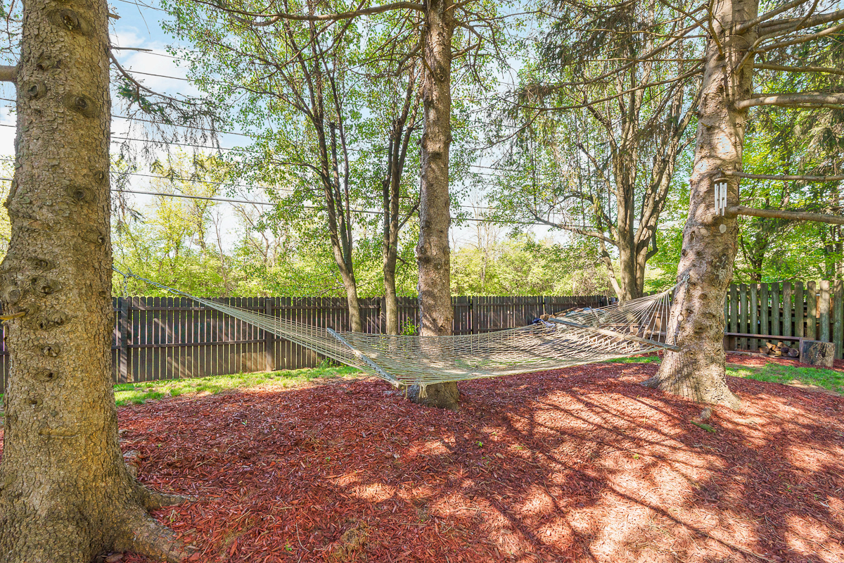 3265 Longspur Dr-10