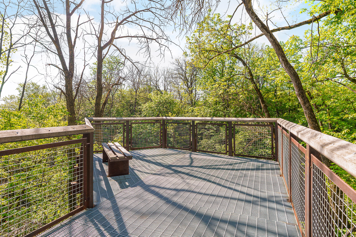 3265 Longspur Dr-46