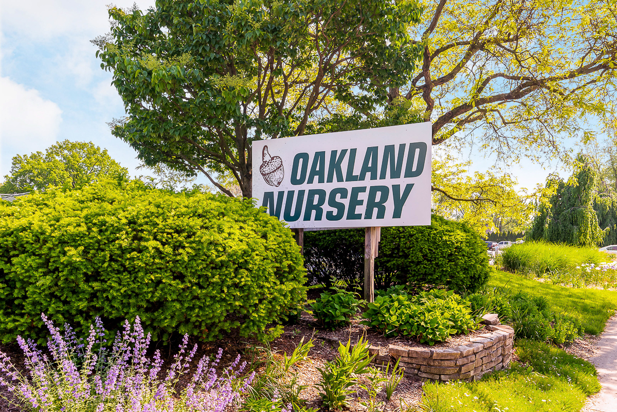 816 E. Melrose Ave -29