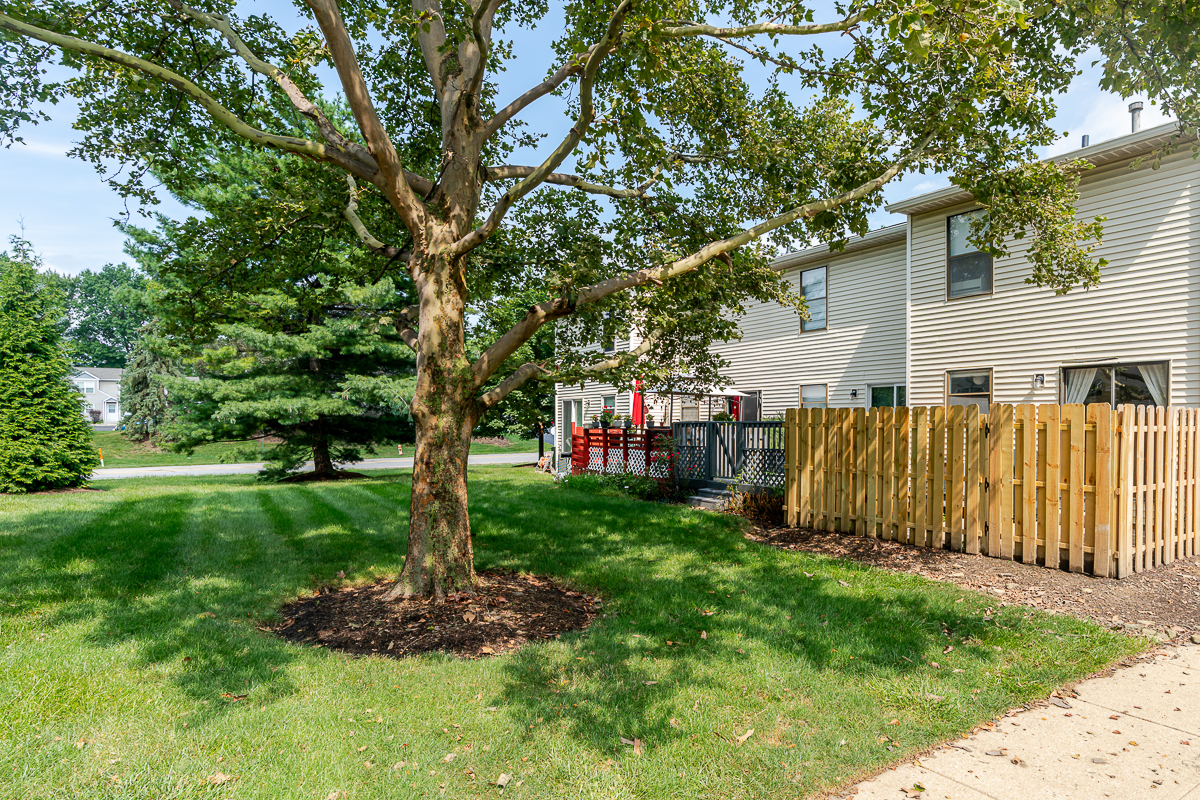 875 Soramill Ln-14