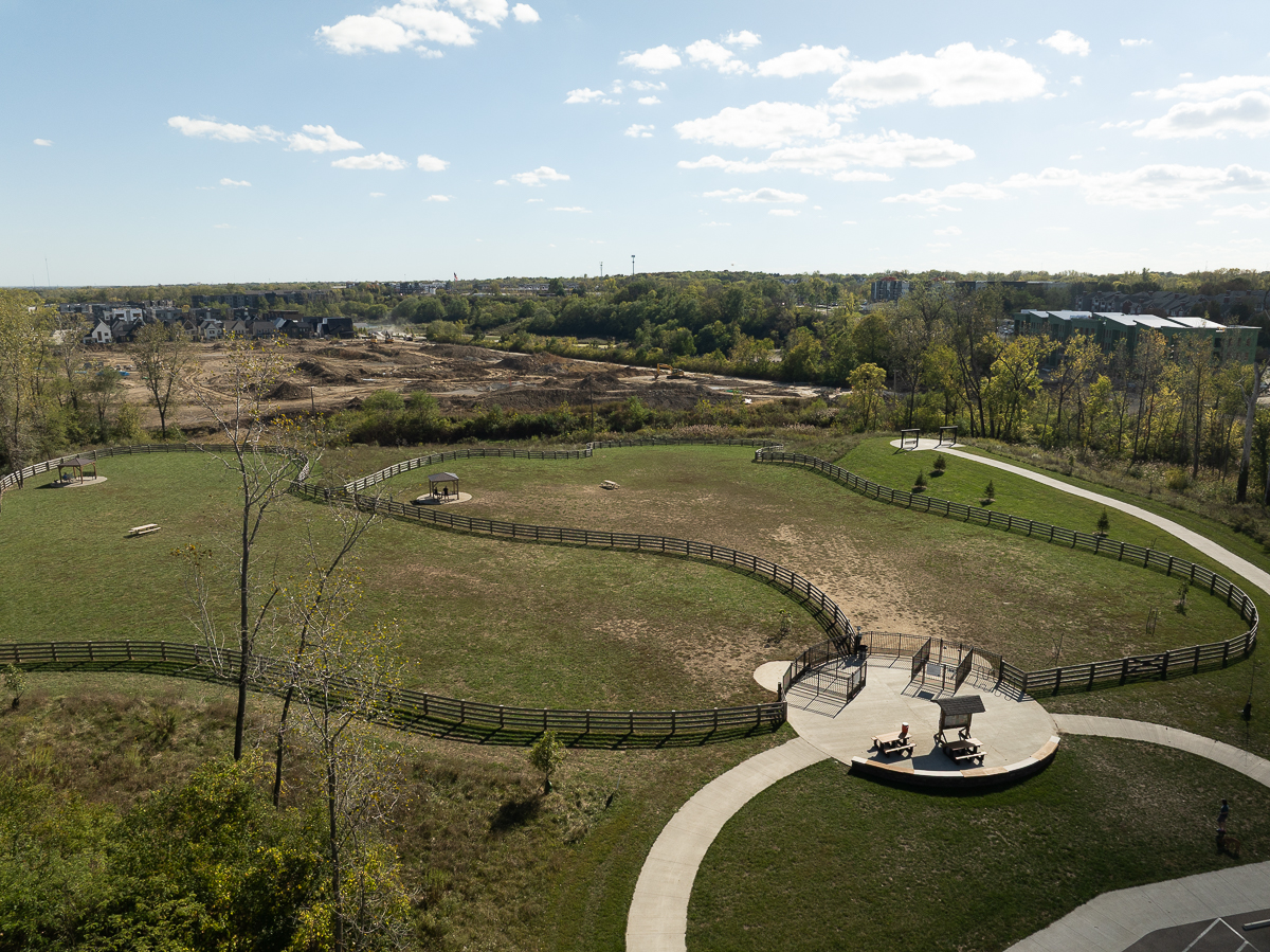 DJI_0431