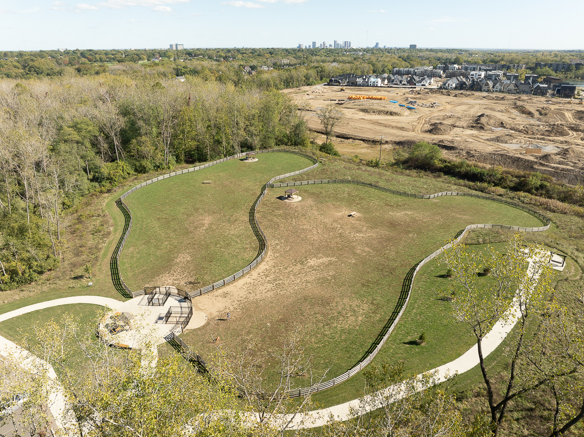 DJI_0433